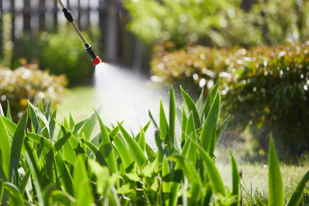 Tamper-Resistant Bait Stations for Rodents in Duryea