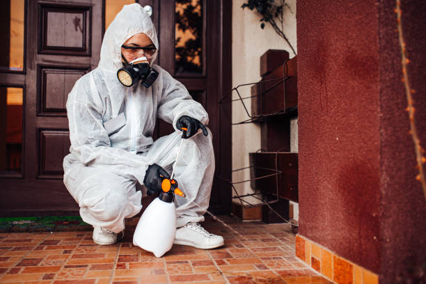 Attic and Crawl Space Rodent Treatment in Duryea