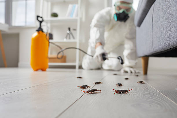 Commercial Rodent Management in Duryea